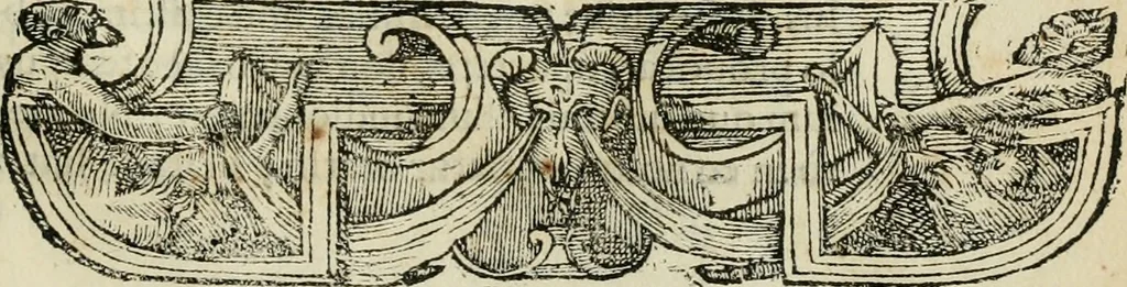 An illustration from Petri Costalii Pegma : cum narrationibus philosophicis, 1555, leaf 246