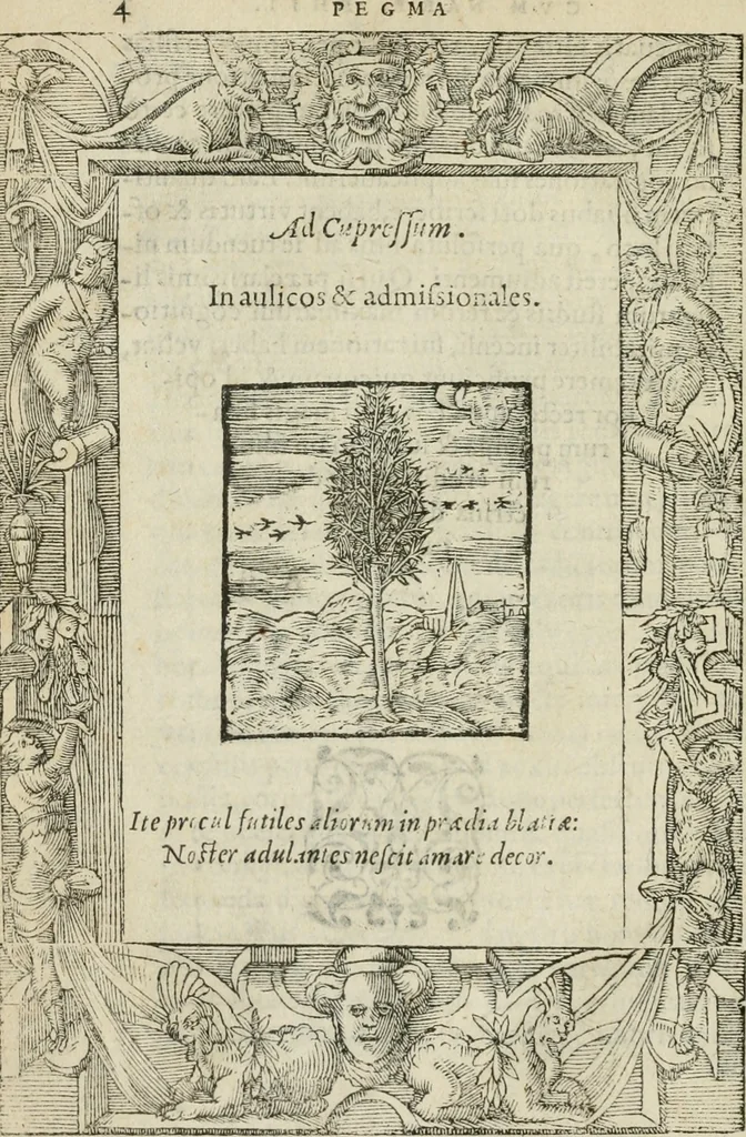 An illustration from Petri Costalii Pegma : cum narrationibus philosophicis, 1555, leaf 25