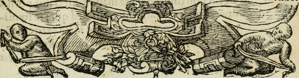 An illustration from Petri Costalii Pegma : cum narrationibus philosophicis, 1555, leaf 250
