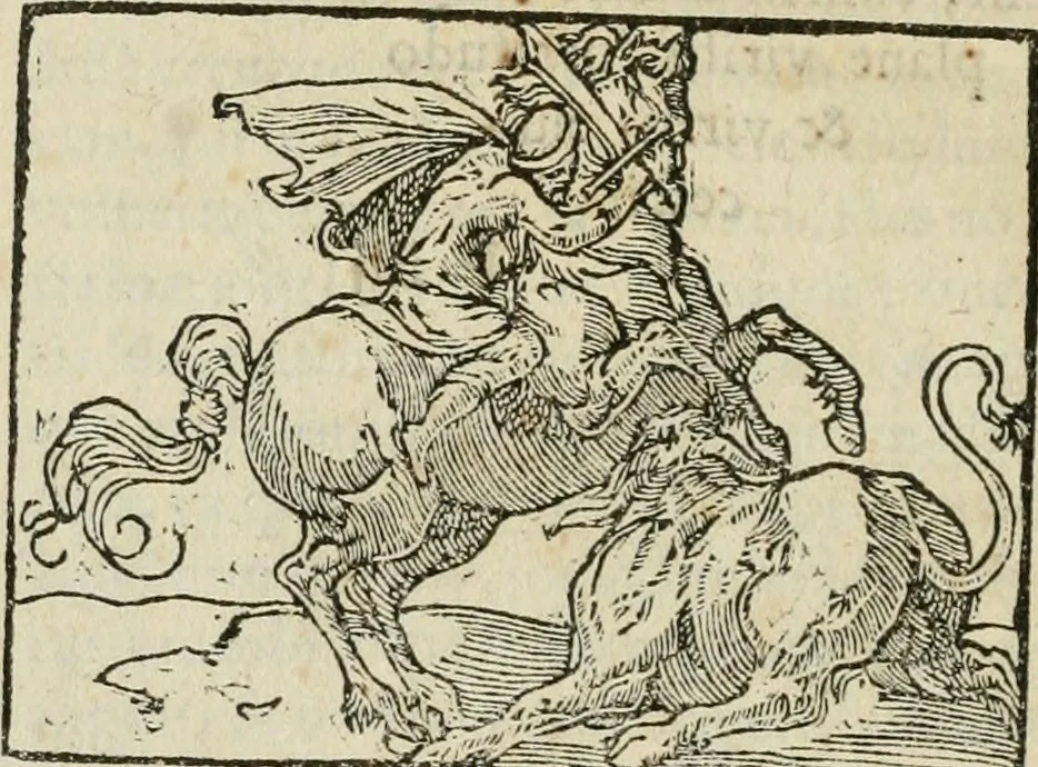 An illustration from Petri Costalii Pegma : cum narrationibus philosophicis, 1555, leaf 253