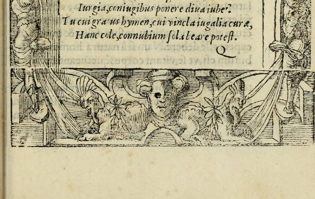 An illustration from Petri Costalii Pegma : cum narrationibus philosophicis, 1555, leaf 262