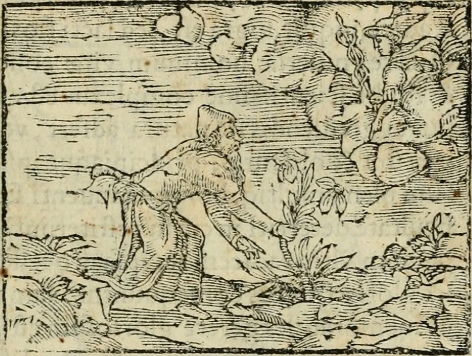 An illustration from Petri Costalii Pegma : cum narrationibus philosophicis, 1555, leaf 266