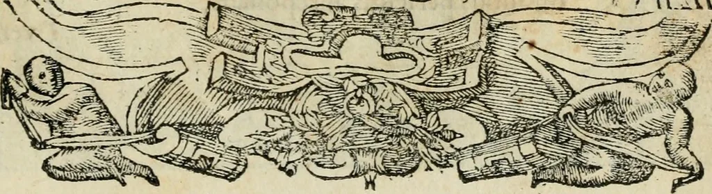 An illustration from Petri Costalii Pegma : cum narrationibus philosophicis, 1555, leaf 266