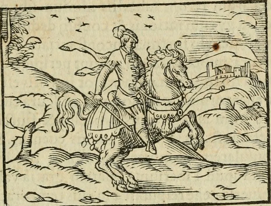 An illustration from Petri Costalii Pegma : cum narrationibus philosophicis, 1555, leaf 272