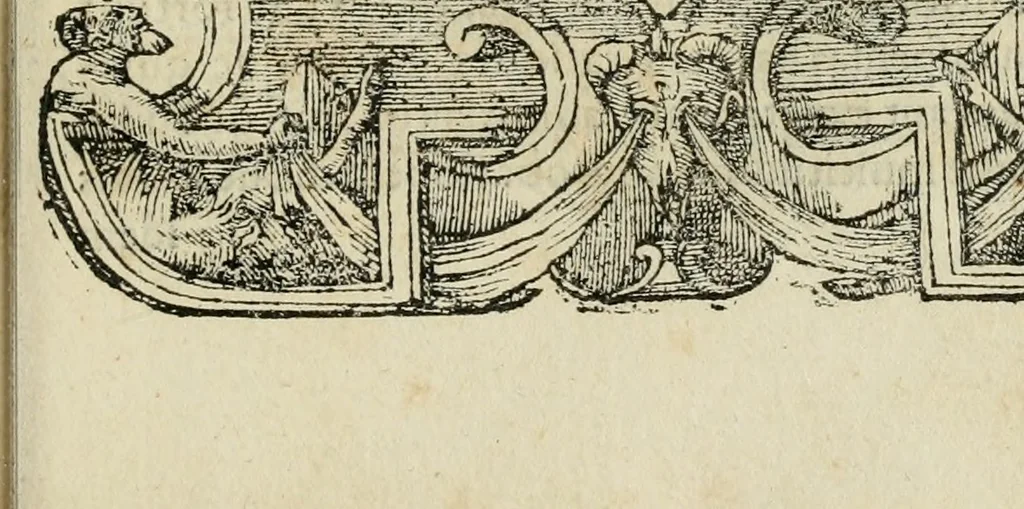 An illustration from Petri Costalii Pegma : cum narrationibus philosophicis, 1555, leaf 272