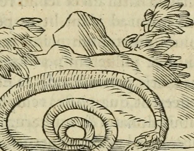 An illustration from Petri Costalii Pegma : cum narrationibus philosophicis, 1555, leaf 276