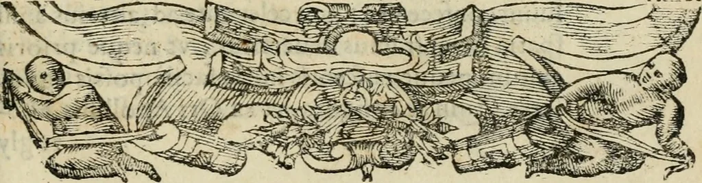 An illustration from Petri Costalii Pegma : cum narrationibus philosophicis, 1555, leaf 276