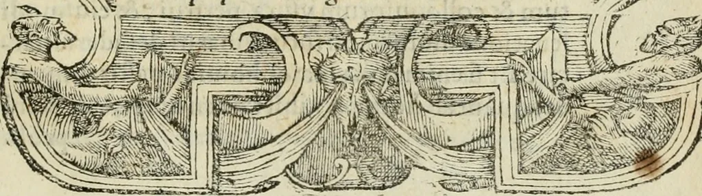 An illustration from Petri Costalii Pegma : cum narrationibus philosophicis, 1555, leaf 280