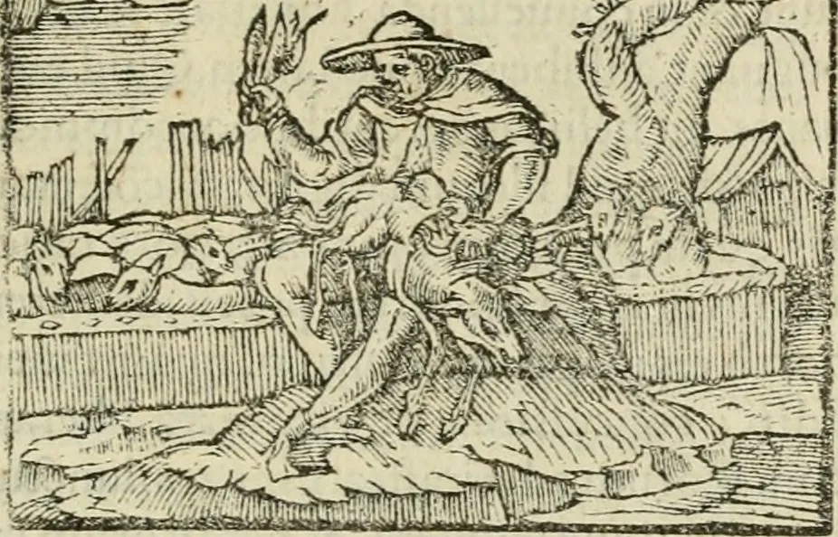 An illustration from Petri Costalii Pegma : cum narrationibus philosophicis, 1555, leaf 288