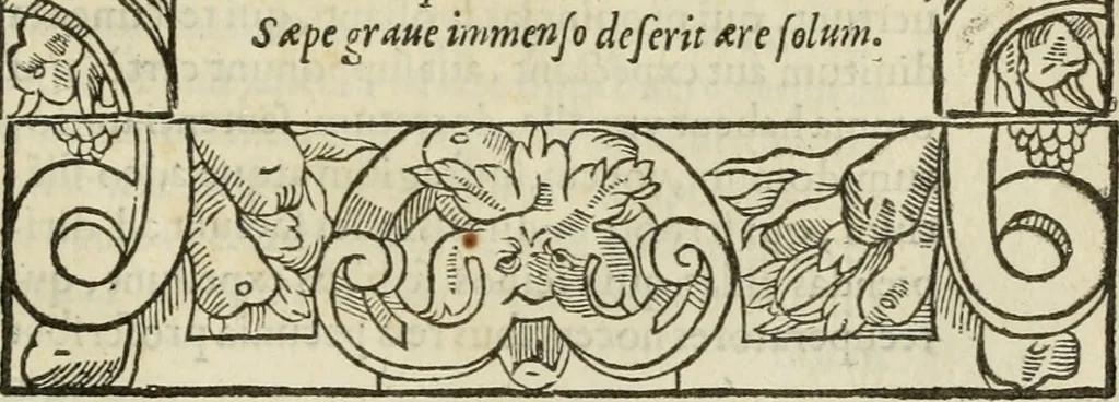 An illustration from Petri Costalii Pegma : cum narrationibus philosophicis, 1555, leaf 288