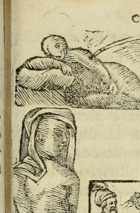 An illustration from Petri Costalii Pegma : cum narrationibus philosophicis, 1555, leaf 292