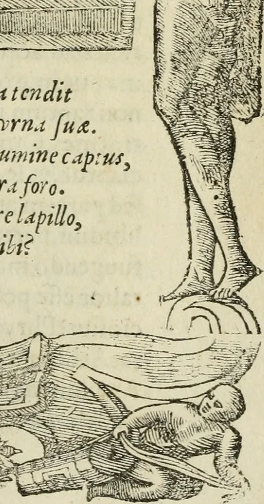 An illustration from Petri Costalii Pegma : cum narrationibus philosophicis, 1555, leaf 292