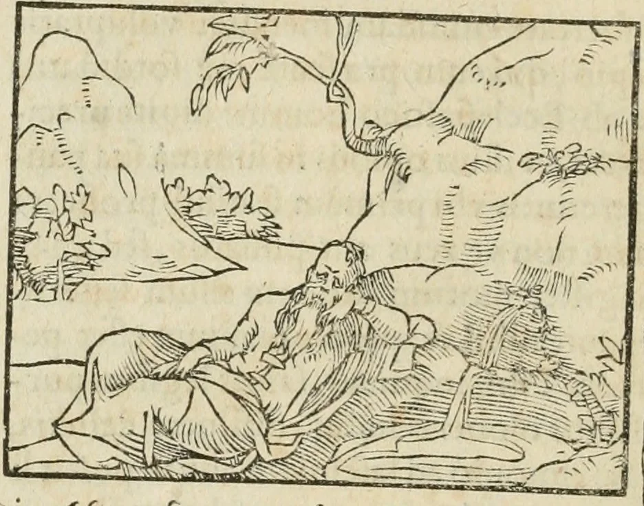 An illustration from Petri Costalii Pegma : cum narrationibus philosophicis, 1555, leaf 299