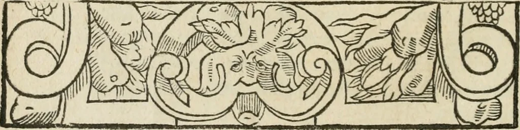 An illustration from Petri Costalii Pegma : cum narrationibus philosophicis, 1555, leaf 303