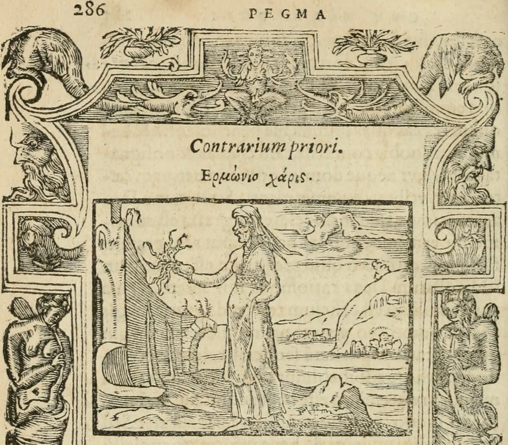 An illustration from Petri Costalii Pegma : cum narrationibus philosophicis, 1555, leaf 307