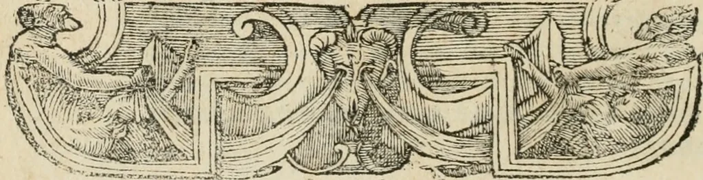An illustration from Petri Costalii Pegma : cum narrationibus philosophicis, 1555, leaf 307