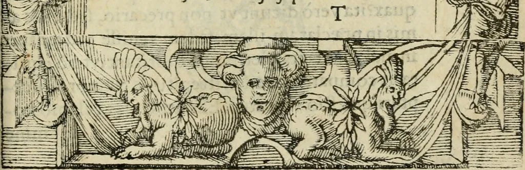 An illustration from Petri Costalii Pegma : cum narrationibus philosophicis, 1555, leaf 310