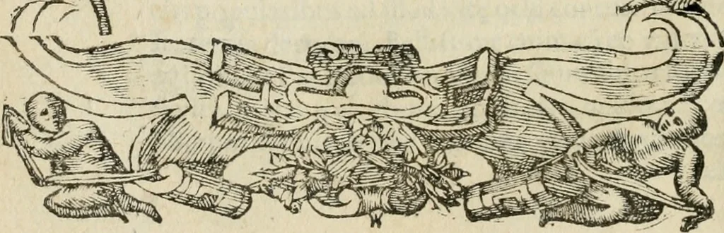 An illustration from Petri Costalii Pegma : cum narrationibus philosophicis, 1555, leaf 317