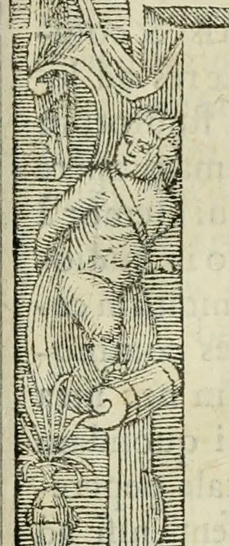 An illustration from Petri Costalii Pegma : cum narrationibus philosophicis, 1555, leaf 326