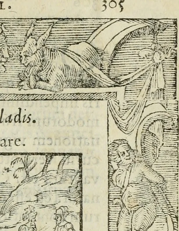 An illustration from Petri Costalii Pegma : cum narrationibus philosophicis, 1555, leaf 326