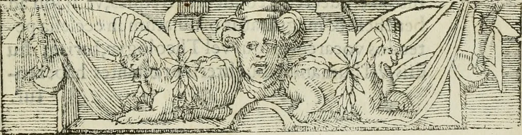 An illustration from Petri Costalii Pegma : cum narrationibus philosophicis, 1555, leaf 326