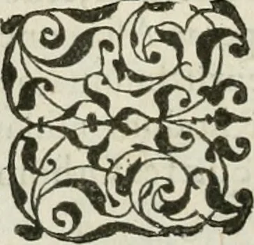An illustration from Petri Costalii Pegma : cum narrationibus philosophicis, 1555, leaf 335