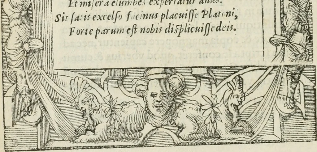 An illustration from Petri Costalii Pegma : cum narrationibus philosophicis, 1555, leaf 339