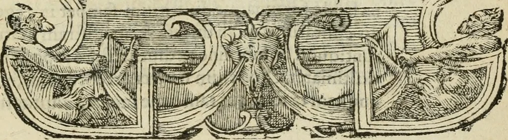 An illustration from Petri Costalii Pegma : cum narrationibus philosophicis, 1555, leaf 346