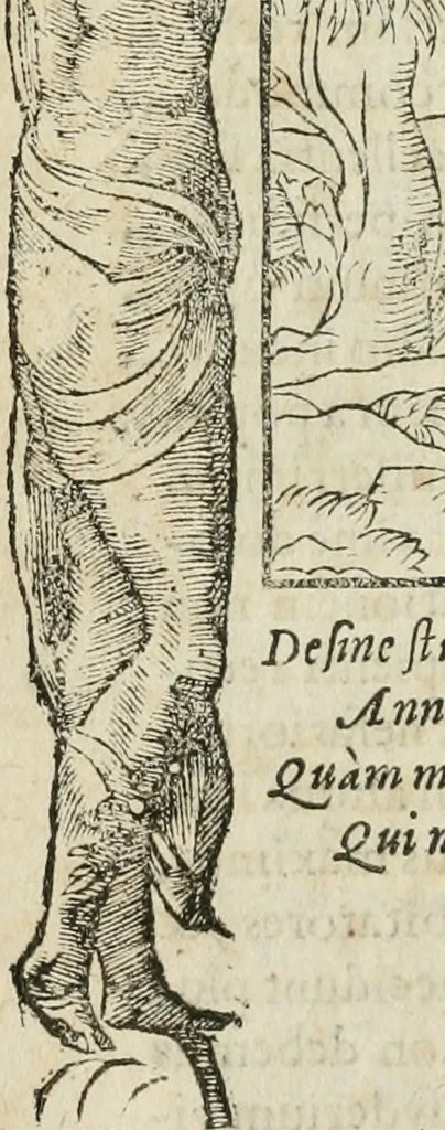 An illustration from Petri Costalii Pegma : cum narrationibus philosophicis, 1555, leaf 41
