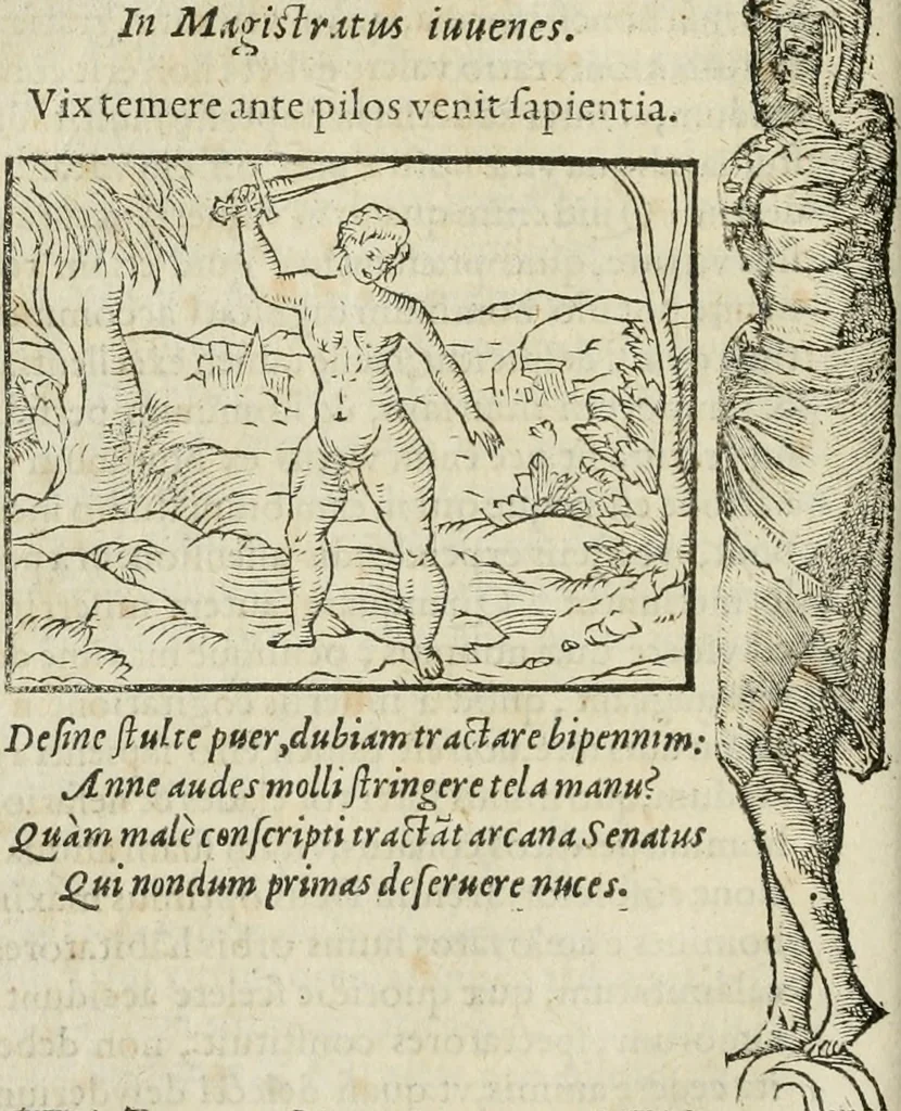 An illustration from Petri Costalii Pegma : cum narrationibus philosophicis, 1555, leaf 41