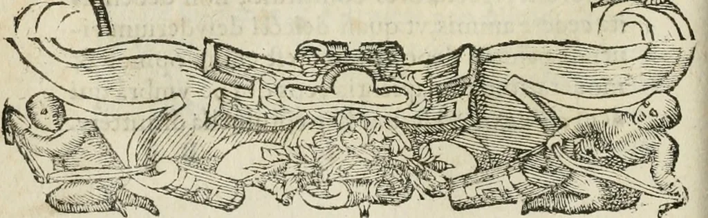 An illustration from Petri Costalii Pegma : cum narrationibus philosophicis, 1555, leaf 41