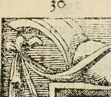 An illustration from Petri Costalii Pegma : cum narrationibus philosophicis, 1555, leaf 51