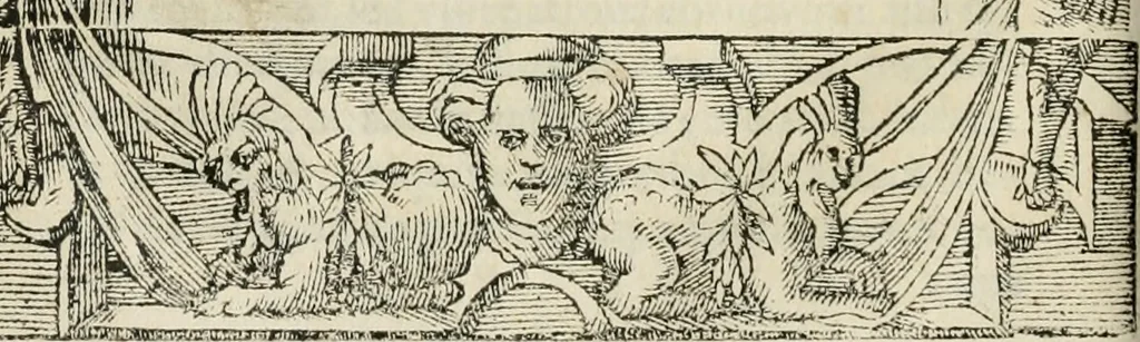 An illustration from Petri Costalii Pegma : cum narrationibus philosophicis, 1555, leaf 51