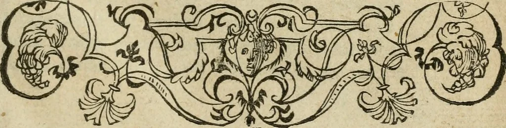 An illustration from Petri Costalii Pegma : cum narrationibus philosophicis, 1555, leaf 6