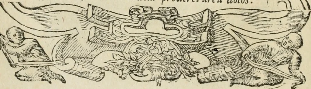 An illustration from Petri Costalii Pegma : cum narrationibus philosophicis, 1555, leaf 61