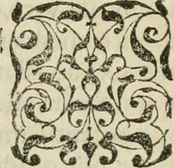 An illustration from Petri Costalii Pegma : cum narrationibus philosophicis, 1555, leaf 67