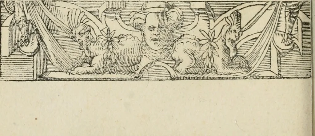 An illustration from Petri Costalii Pegma : cum narrationibus philosophicis, 1555, leaf 79