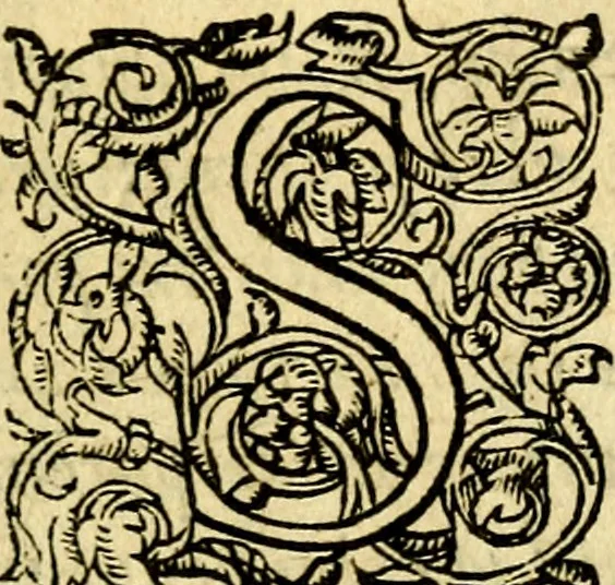 An illustration from Petri Costalij Pegma, : cum narrationibus philosophicis, 1555, leaf 10