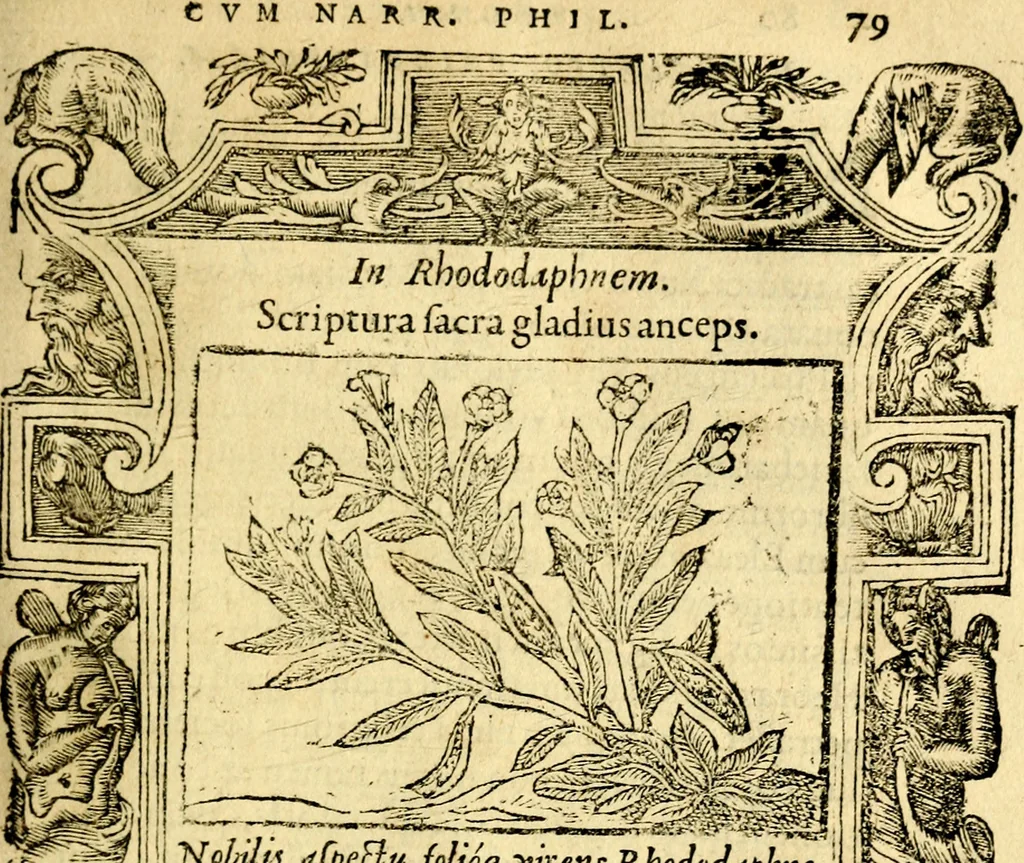 An illustration from Petri Costalij Pegma, : cum narrationibus philosophicis, 1555, leaf 100