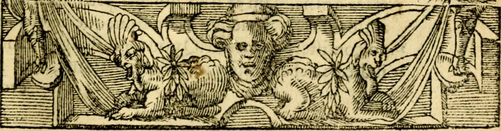 An illustration from Petri Costalij Pegma, : cum narrationibus philosophicis, 1555, leaf 110