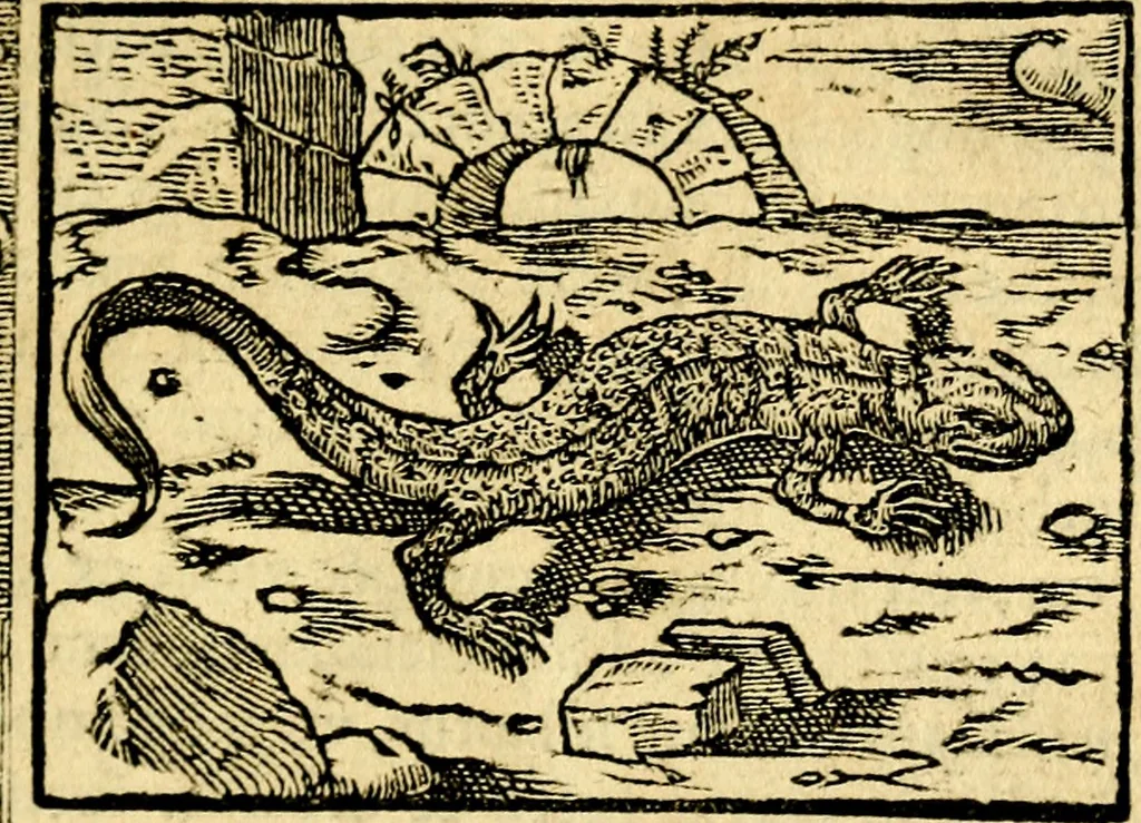 An illustration from Petri Costalij Pegma, : cum narrationibus philosophicis, 1555, leaf 116