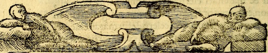 An illustration from Petri Costalij Pegma, : cum narrationibus philosophicis, 1555, leaf 123