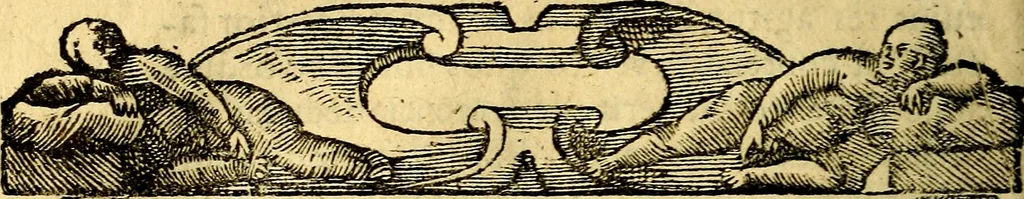 An illustration from Petri Costalij Pegma, : cum narrationibus philosophicis, 1555, leaf 133