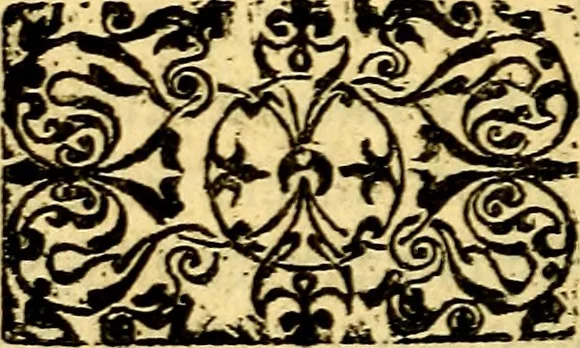 An illustration from Petri Costalij Pegma, : cum narrationibus philosophicis, 1555, leaf 139
