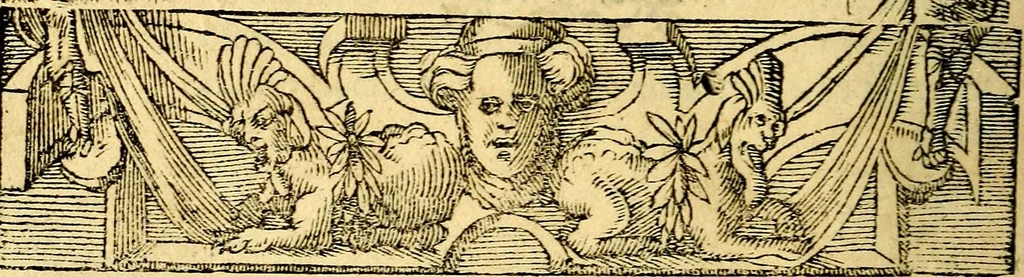 An illustration from Petri Costalij Pegma, : cum narrationibus philosophicis, 1555, leaf 143