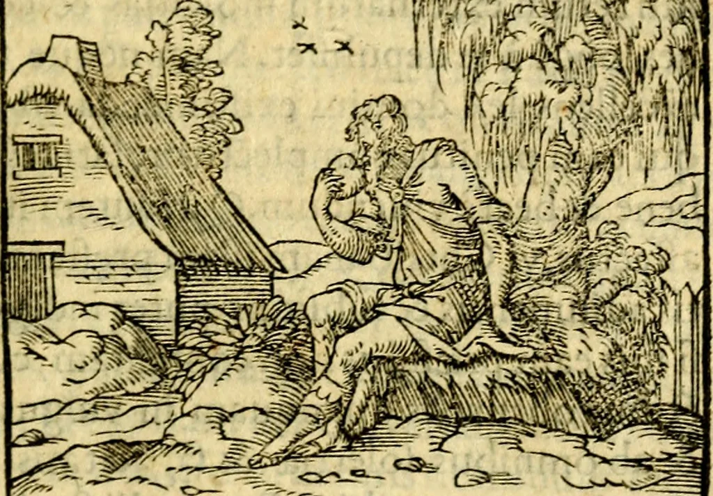 An illustration from Petri Costalij Pegma, : cum narrationibus philosophicis, 1555, leaf 150