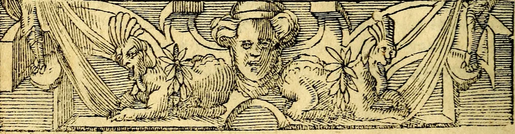 An illustration from Petri Costalij Pegma, : cum narrationibus philosophicis, 1555, leaf 153