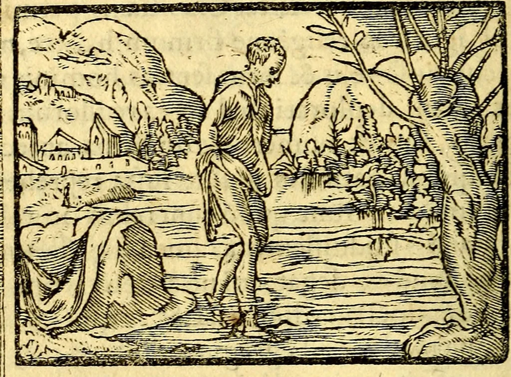 An illustration from Petri Costalij Pegma, : cum narrationibus philosophicis, 1555, leaf 167