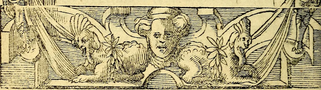 An illustration from Petri Costalij Pegma, : cum narrationibus philosophicis, 1555, leaf 167