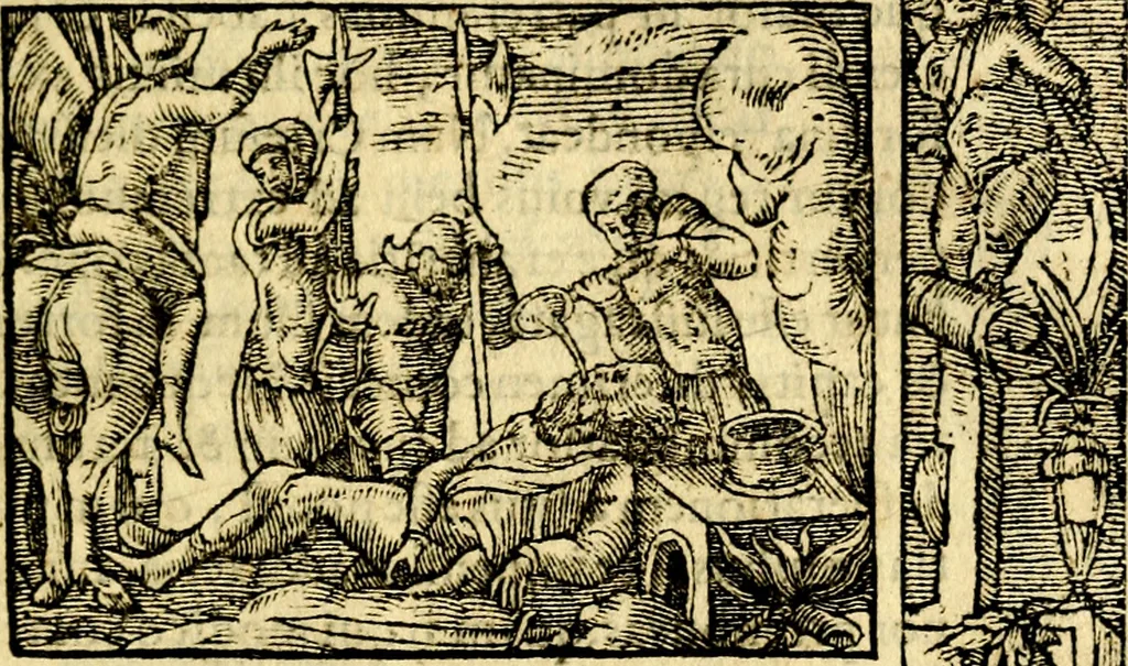 An illustration from Petri Costalij Pegma, : cum narrationibus philosophicis, 1555, leaf 186